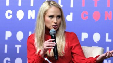 tomi lahren net worth