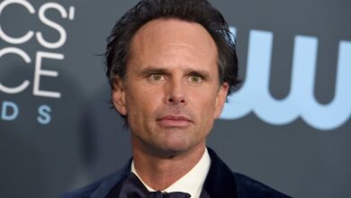 walton goggins net worth