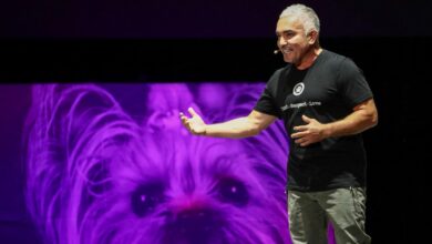 cesar millan net worth